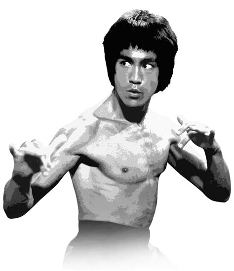 brucelee photos|bruce lee free images.